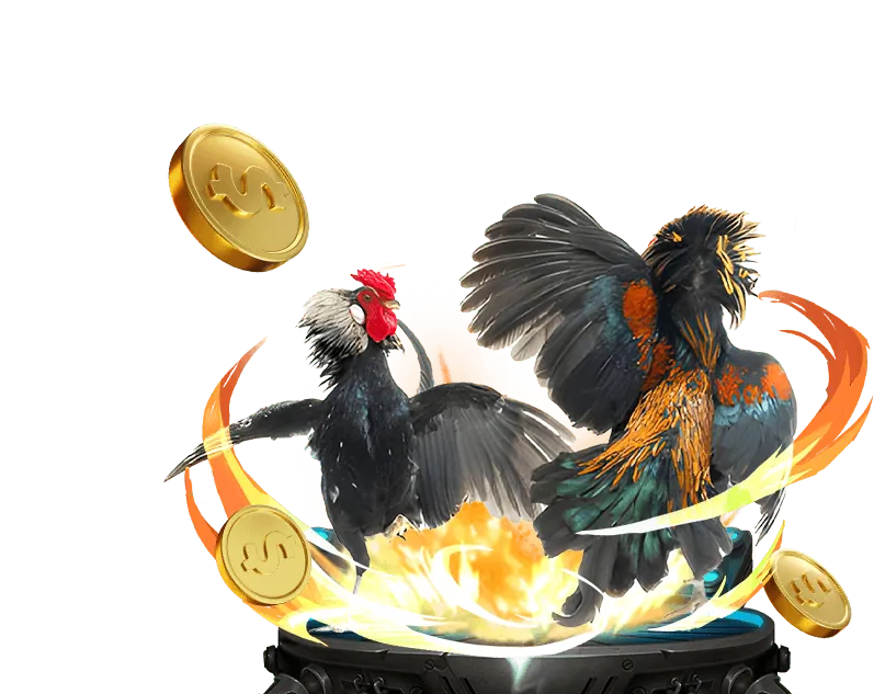 Hướng dẫn đăng ký và tham gia đá gà tại tỷphu88